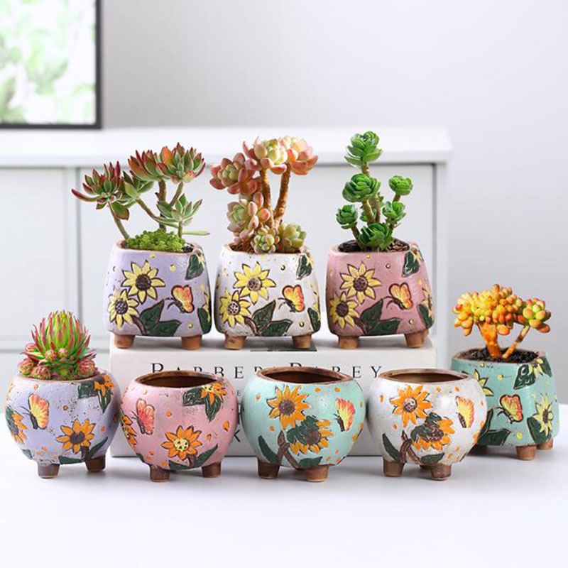 Echeveria Succulent - Vaso per piante grasse in stile