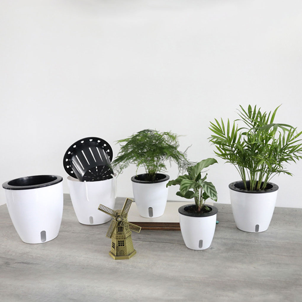 Aloe Vera Pot - Vasi per piante bianchi portatili ed