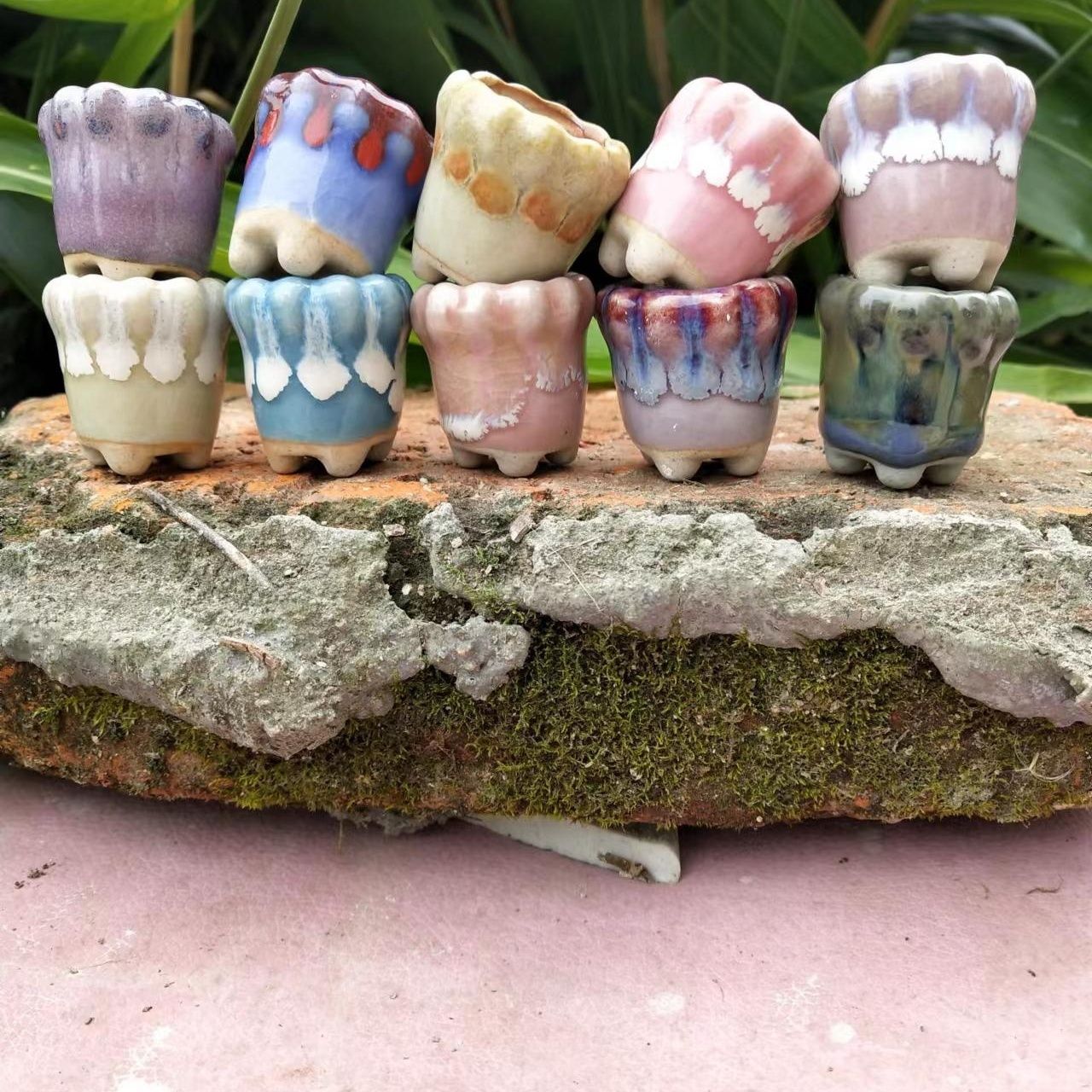 10 pz Mini ceramica Fowerpot M - Echeveria Succulent recensione e prezzo