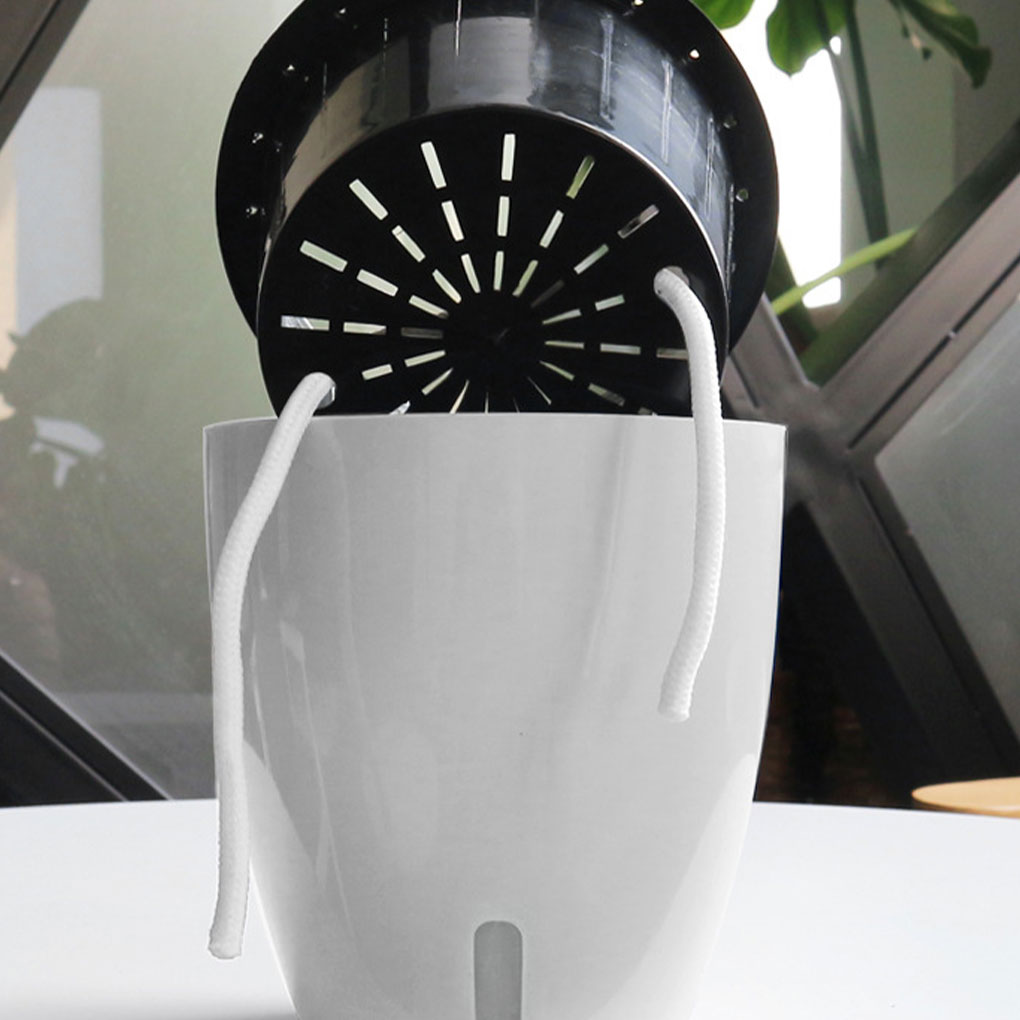 Vasi per piante bianchi portat - Aloe Vera Pot recensione e prezzo