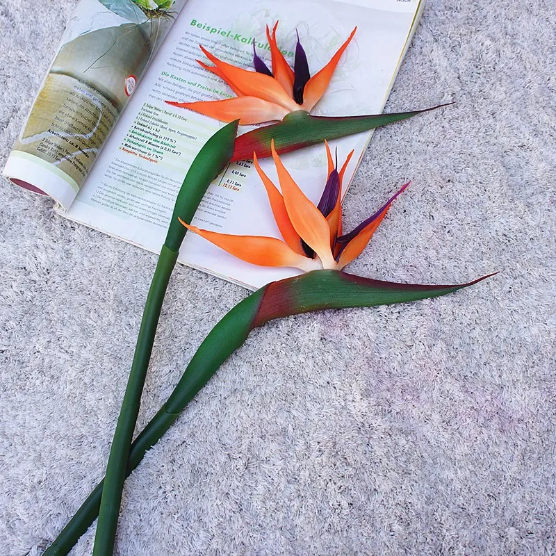 80CM artificiale reale tocco f - Bird Paradise Strelitzia recensione e prezzo