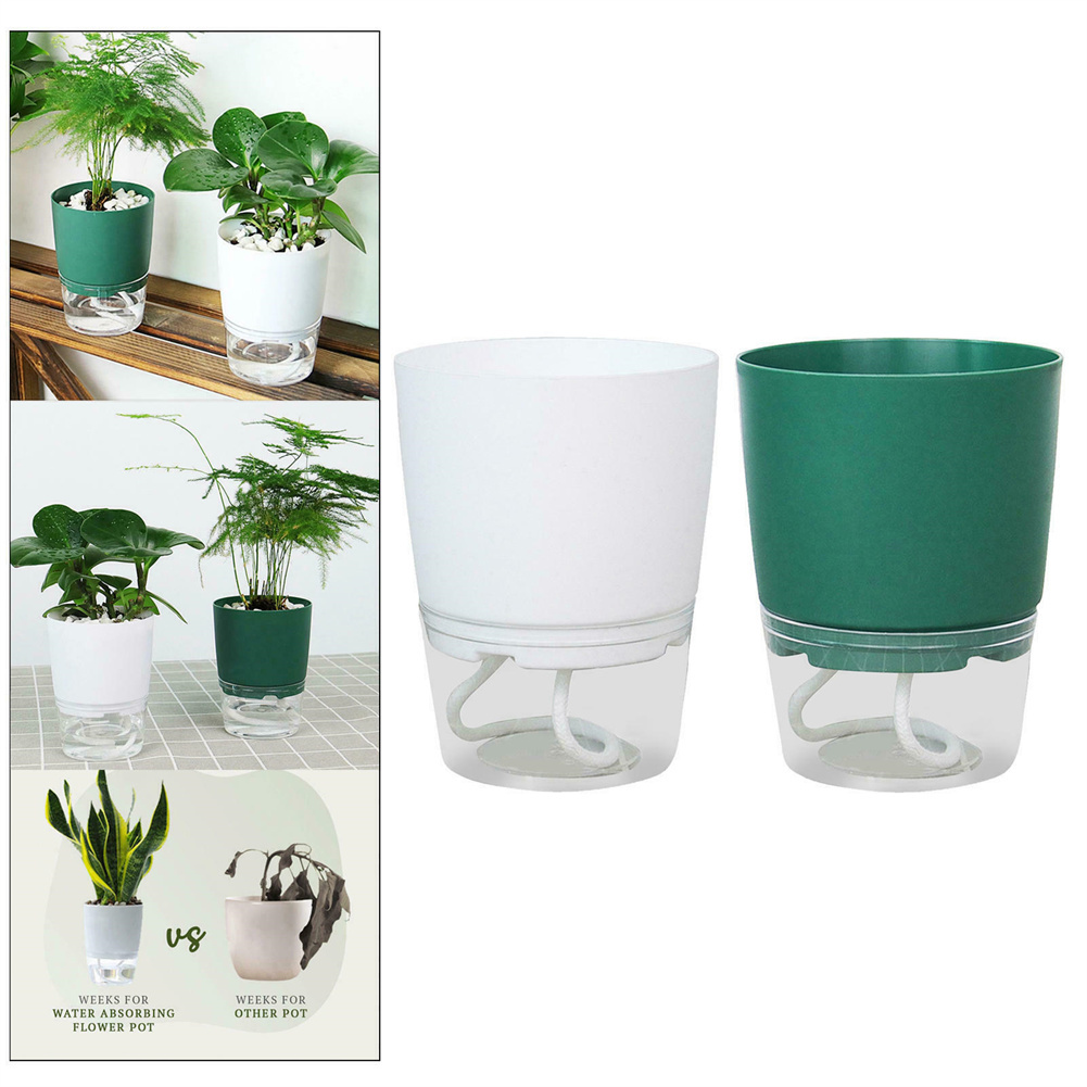 Vaso da fiori idroponico pigro - Aloe Vera Pot recensione e prezzo